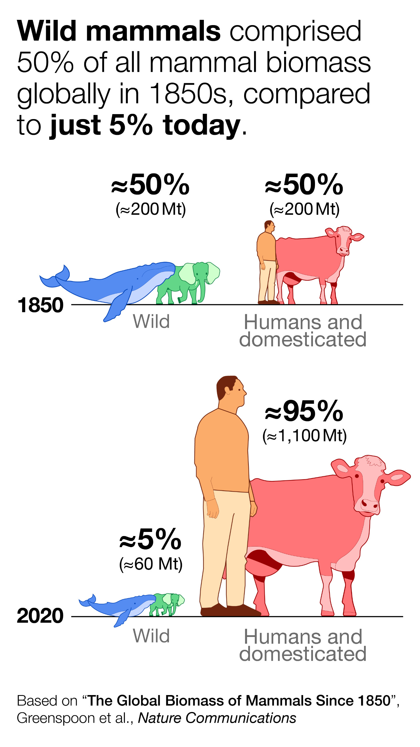 As the biomass of wild animals shrinks, that of humans and cattle grow.